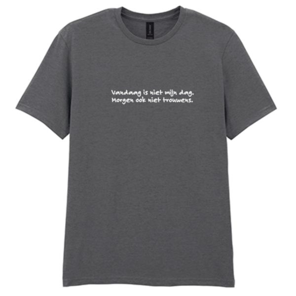 Niet mijn dag T-shirt heren grijs